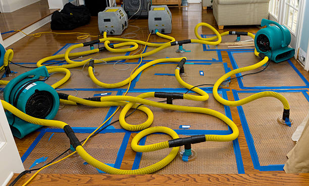 Professional Structural Drying And Dehumidification technician working in Eola, IL
